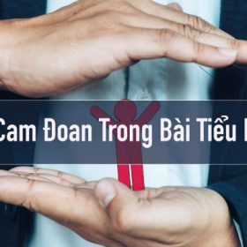 Hình ảnh lời cam đoan trong bài tiểu luận 1