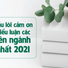 1-mau-loi-cam-on-trong-tieu-luan-cac-chuyen-nganh